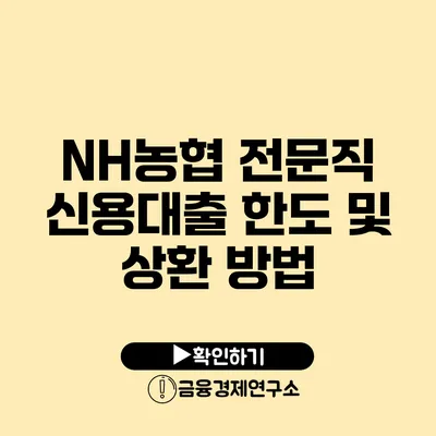 NH농협 전문직 신용대출 한도 및 상환 방법