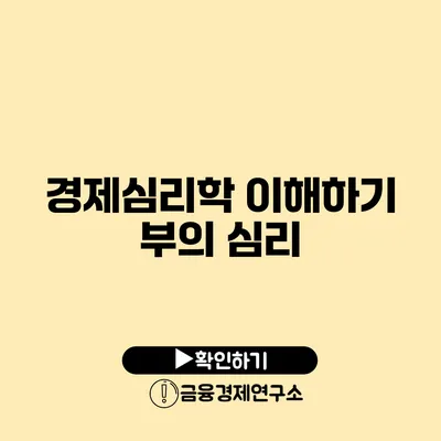 경제심리학 이해하기 부의 심리