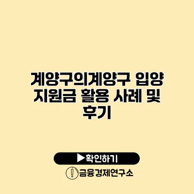 계양구의계양구 입양 지원금 활용 사례 및 후기