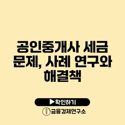 공인중개사 세금 문제, 사례 연구와 해결책