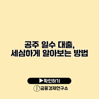 공주 일수 대출, 세심하게 알아보는 방법