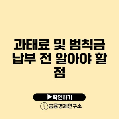 과태료 및 범칙금 납부 전 알아야 할 점