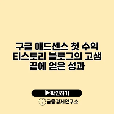 구글 애드센스 첫 수익 티스토리 블로그의 고생 끝에 얻은 성과