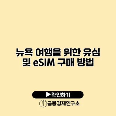 뉴욕 여행을 위한 유심 및 eSIM 구매 방법