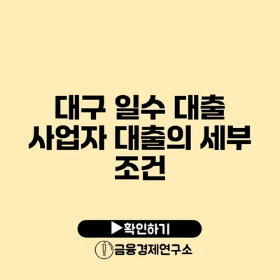 대구 일수 대출 사업자 대출의 세부 조건