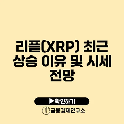 리플(XRP) 최근 상승 이유 및 시세 전망