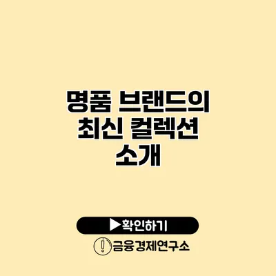 명품 브랜드의 최신 컬렉션 소개