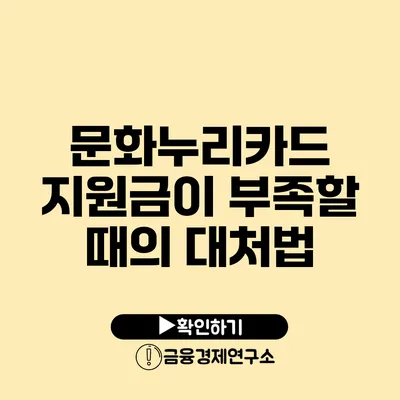 문화누리카드 지원금이 부족할 때의 대처법