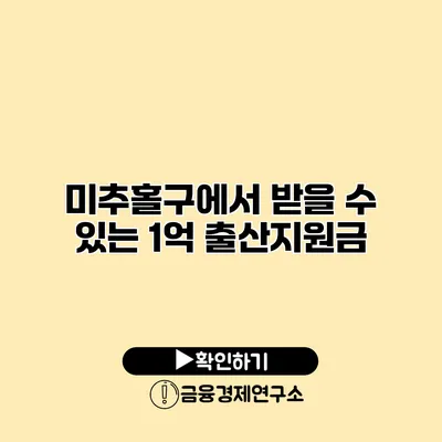 미추홀구에서 받을 수 있는 1억 출산지원금