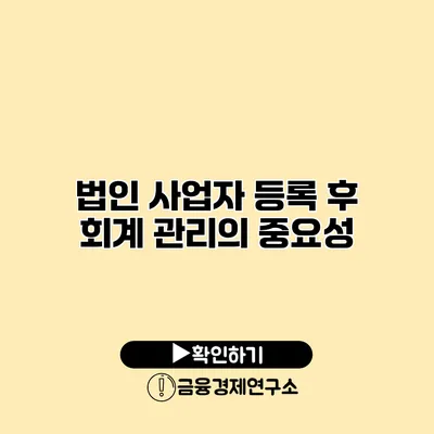 법인 사업자 등록 후 회계 관리의 중요성