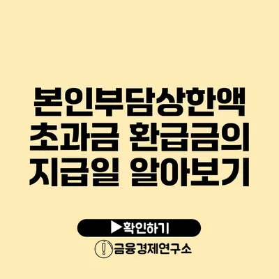 본인부담상한액 초과금 환급금의 지급일 알아보기