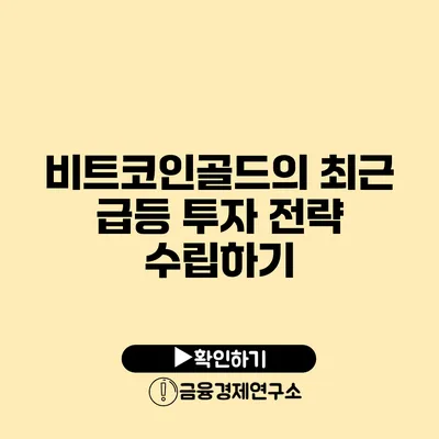 비트코인골드의 최근 급등 투자 전략 수립하기