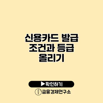 신용카드 발급 조건과 등급 올리기