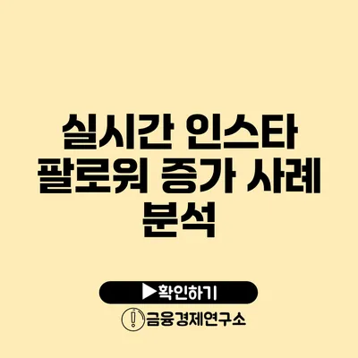 실시간 인스타 팔로워 증가 사례 분석