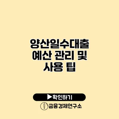 양산일수대출 예산 관리 및 사용 팁
