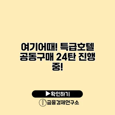 여기어때! 특급호텔 공동구매 24탄 진행 중!