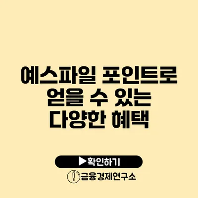 예스파일 포인트로 얻을 수 있는 다양한 혜택