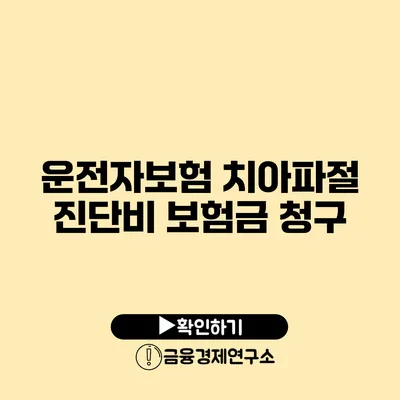 운전자보험 치아파절 진단비 보험금 청구