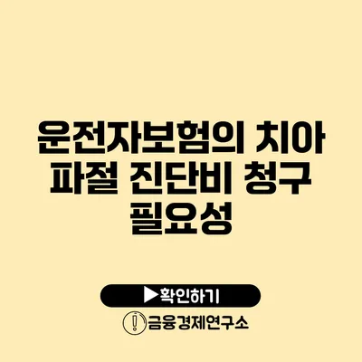 운전자보험의 치아 파절 진단비 청구 필요성