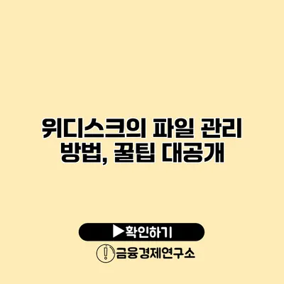 위디스크의 파일 관리 방법, 꿀팁 대공개