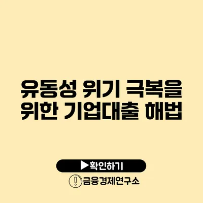 유동성 위기 극복을 위한 기업대출 해법