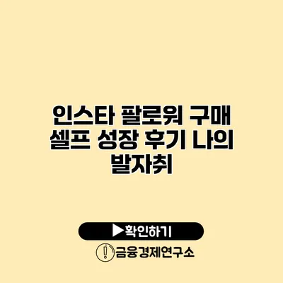 인스타 팔로워 구매 셀프 성장 후기 나의 발자취