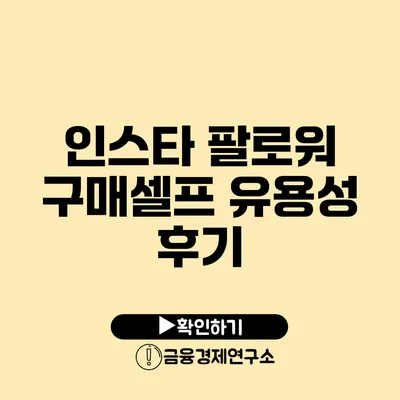 인스타 팔로워 구매셀프 유용성 후기