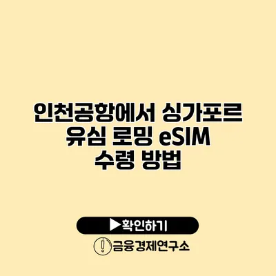 인천공항에서 싱가포르 유심 로밍 eSIM 수령 방법