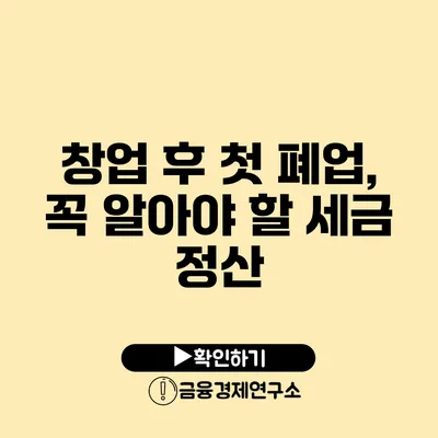 창업 후 첫 폐업, 꼭 알아야 할 세금 정산