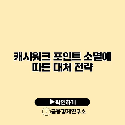 캐시워크 포인트 소멸에 따른 대처 전략