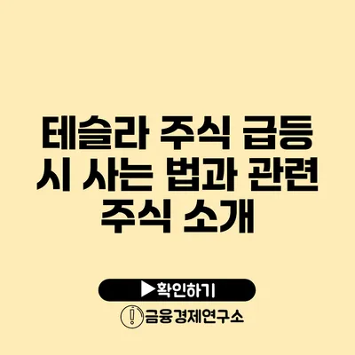 테슬라 주식 급등 시 사는 법과 관련 주식 소개