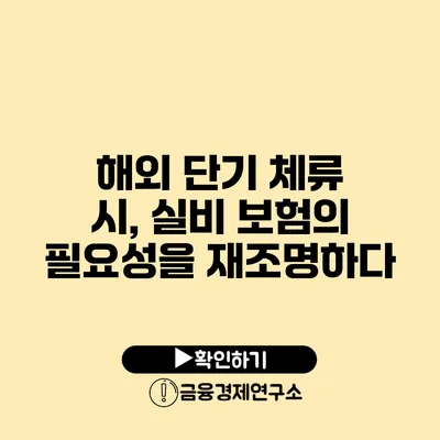 해외 단기 체류 시, 실비 보험의 필요성을 재조명하다