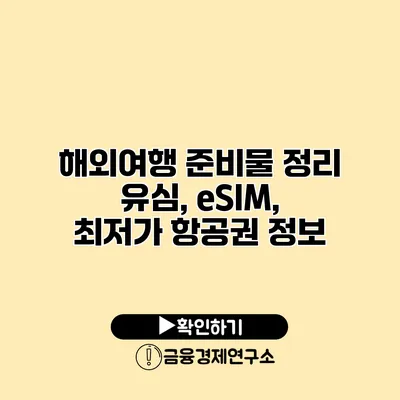 해외여행 준비물 정리 유심, eSIM, 최저가 항공권 정보