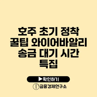 호주 초기 정착 꿀팁: 와이어바알리 송금 대기 시간 특집