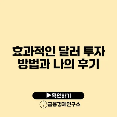 효과적인 달러 투자 방법과 나의 후기