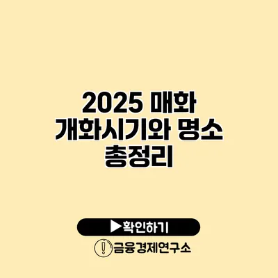 2025 매화 개화시기와 명소 총정리