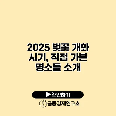 2025 벚꽃 개화 시기, 직접 가본 명소들 소개