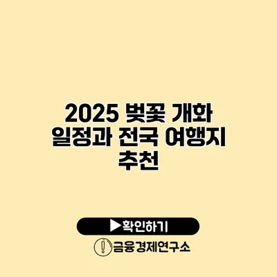 2025 벚꽃 개화 일정과 전국 여행지 추천