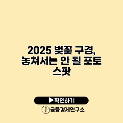 2025 벚꽃 구경, 놓쳐서는 안 될 포토 스팟
