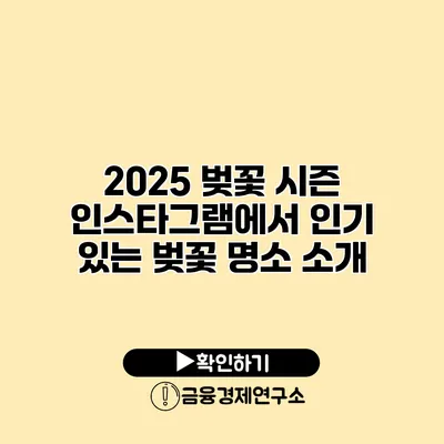 2025 벚꽃 시즌 인스타그램에서 인기 있는 벚꽃 명소 소개