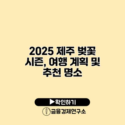 2025 제주 벚꽃 시즌, 여행 계획 및 추천 명소