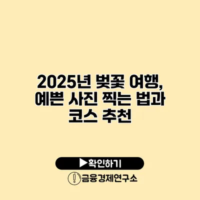 2025년 벚꽃 여행, 예쁜 사진 찍는 법과 코스 추천