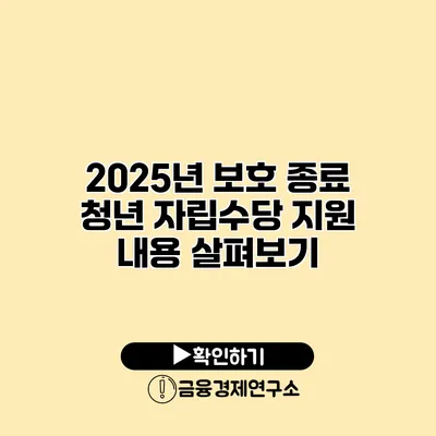 2025년 보호 종료 청년 자립수당 지원 내용 살펴보기