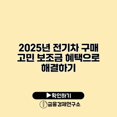 2025년 전기차 구매 고민? 보조금 혜택으로 해결하기