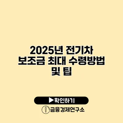 2025년 전기차 보조금 최대 수령방법 및 팁