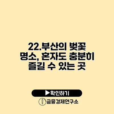 22.부산의 벚꽃 명소, 혼자도 충분히 즐길 수 있는 곳