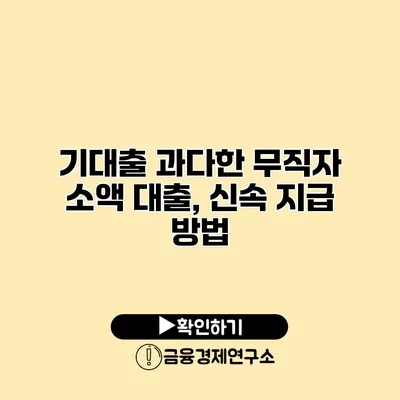 기대출 과다한 무직자 소액 대출, 신속 지급 방법