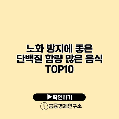 노화 방지에 좋은 단백질 함량 많은 음식 TOP10