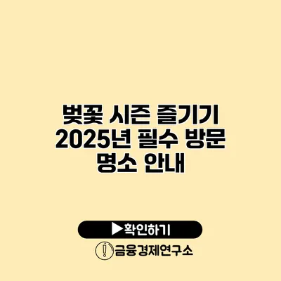 벚꽃 시즌 즐기기 2025년 필수 방문 명소 안내