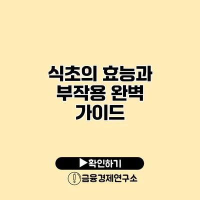 식초의 효능과 부작용 완벽 가이드